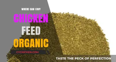 Where to Buy Organic Chicken Feed: Top Sources for Healthy Poultry