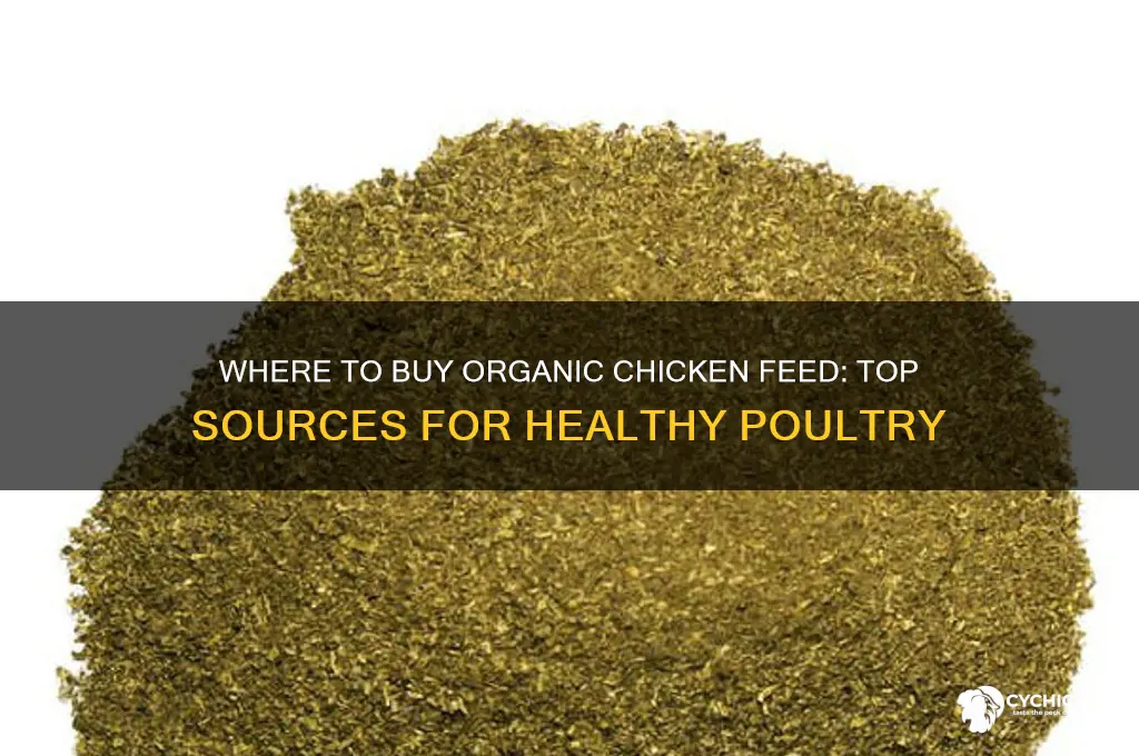 where can i buy chicken feed organic