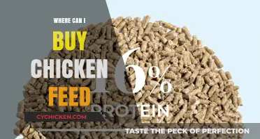 Best Places to Buy Chicken Feed: A Comprehensive Guide for Poultry Owners