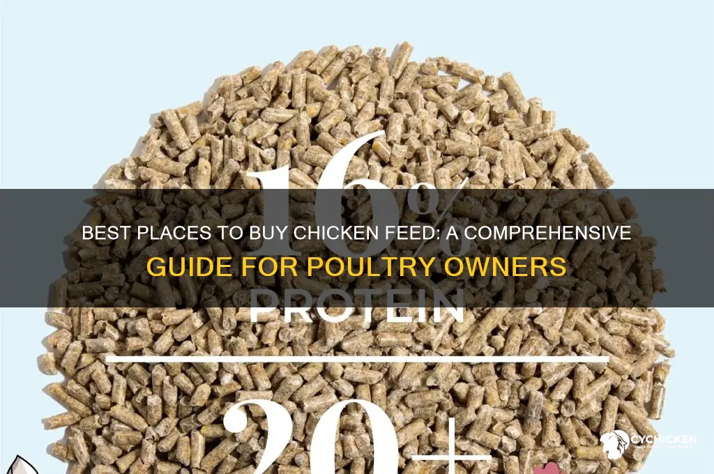 where can i buy chicken feed