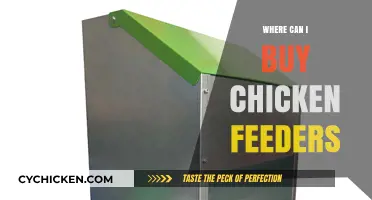 Best Places to Buy Chicken Feeders for Your Flock