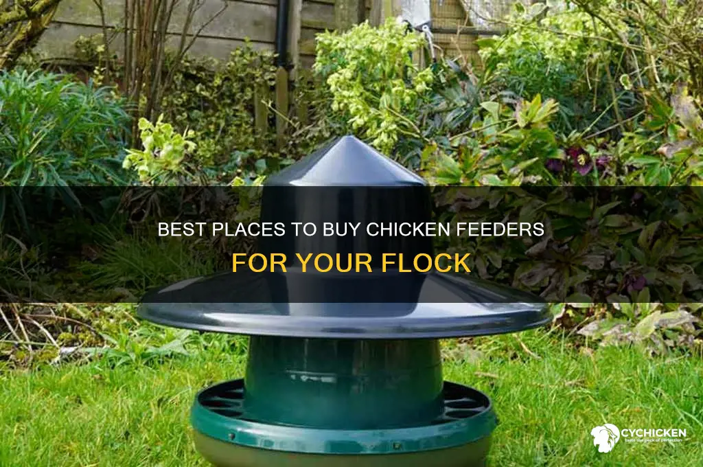 where can i buy chicken feeders