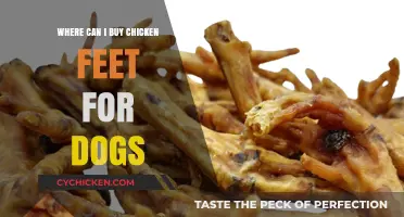 Where to Buy Chicken Feet Treats for Your Dog: A Guide