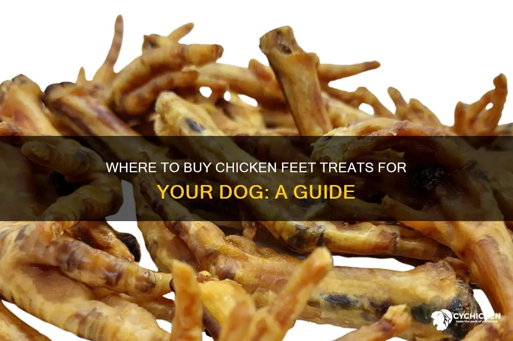 where can i buy chicken feet for dogs