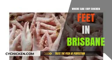 Where to Buy Chicken Feet in Brisbane: A Local Guide