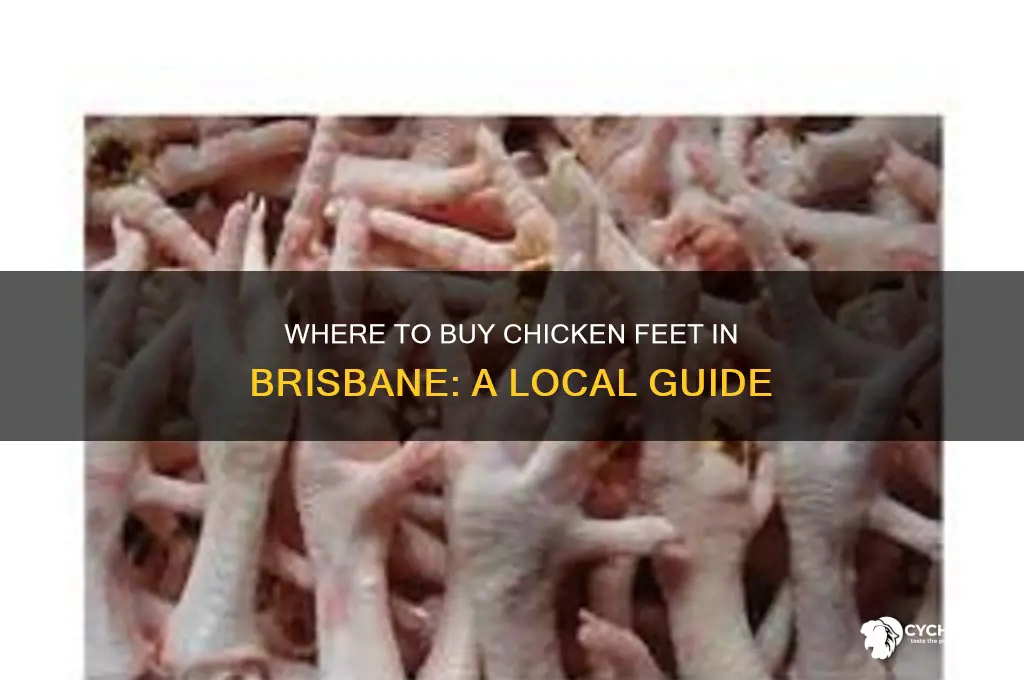 where can i buy chicken feet in brisbane