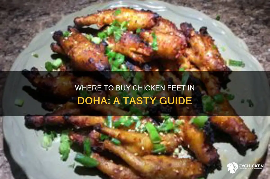 where can i buy chicken feet in doha