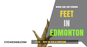 Edmonton's Best Spots to Buy Chicken Feet: A Tasty Guide