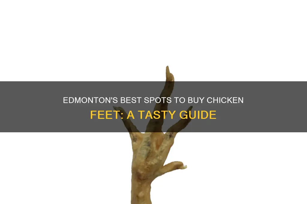 where can i buy chicken feet in edmonton