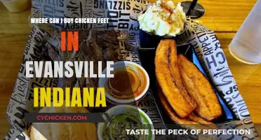 Where to Buy Chicken Feet in Evansville, Indiana: A Local Guide