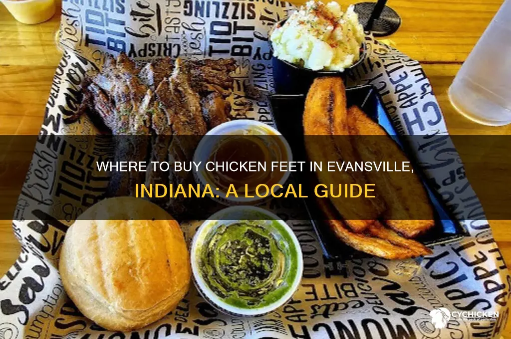 where can i buy chicken feet in evansville indiana