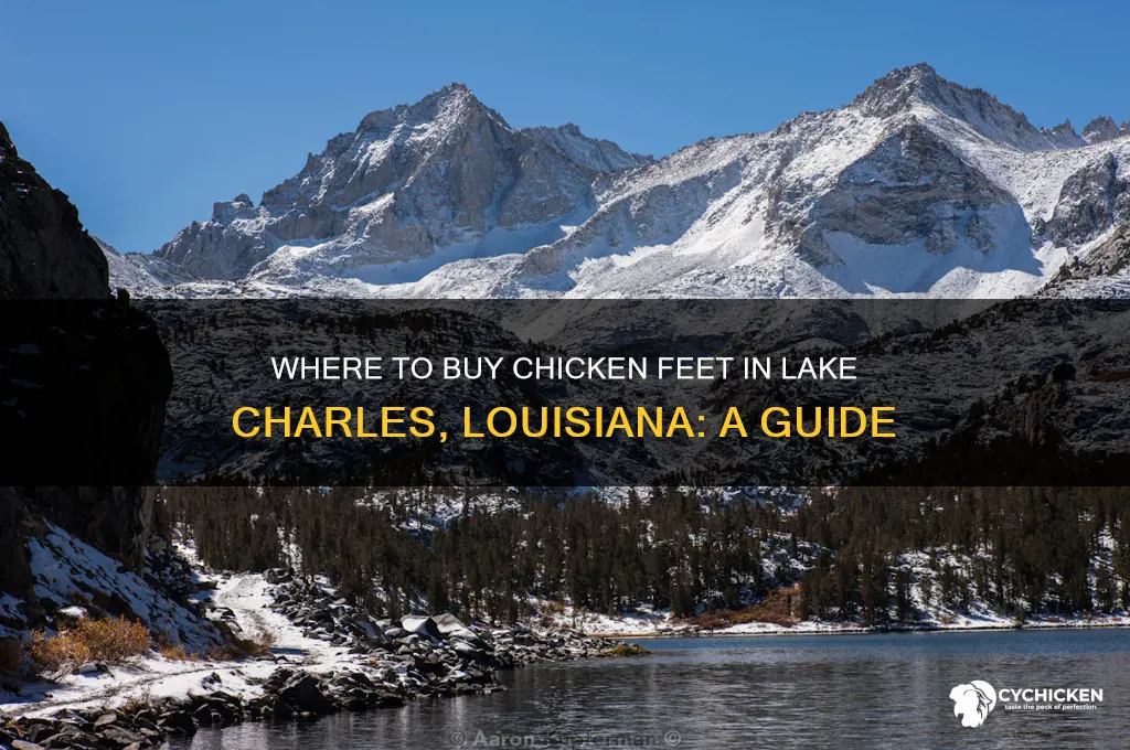 where can i buy chicken feet in lake charles louisiana