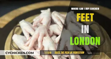 Where to Buy Chicken Feet in London: A Tasty Guide
