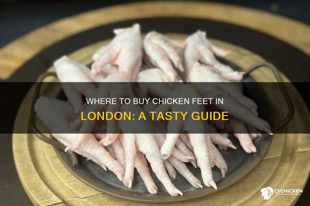 where can i buy chicken feet in london