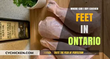 Where to Buy Chicken Feet in Ontario: A Tasty Guide