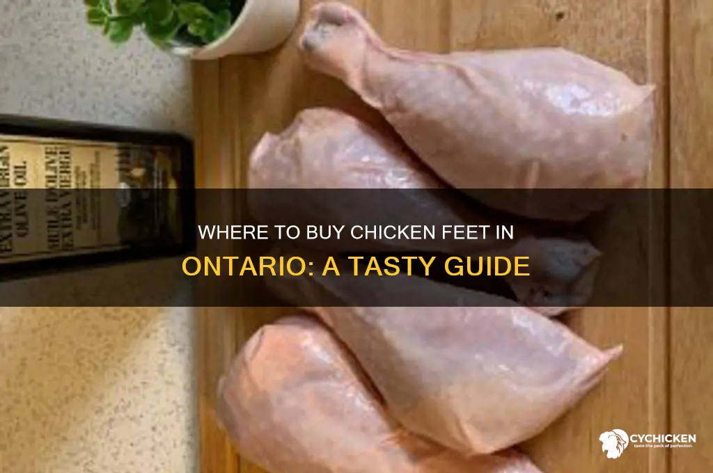 where can i buy chicken feet in ontario