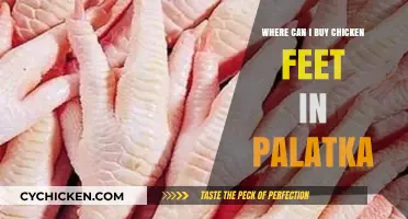 Discover Palatka's Best Spots to Buy Chicken Feet Today!