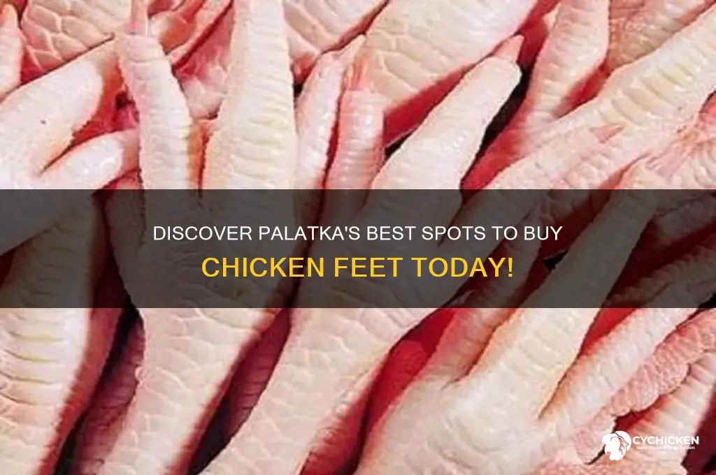 where can i buy chicken feet in palatka