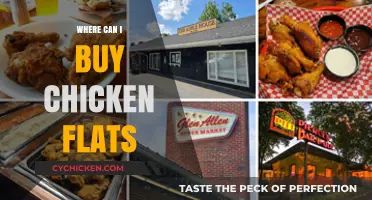 Where to Buy Chicken Flats: Top Retailers and Online Options
