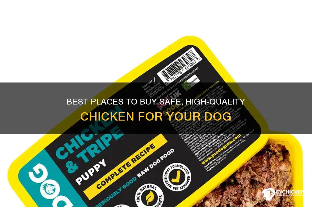 where can i buy chicken for my dog