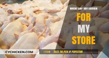 Top Chicken Suppliers: Where to Buy Quality Poultry for Your Store