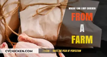 Fresh Farm-Raised Chicken: Local Sources and Buying Tips