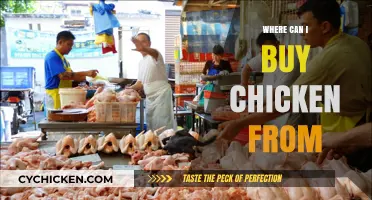 Best Places to Buy Fresh, Quality Chicken Near You