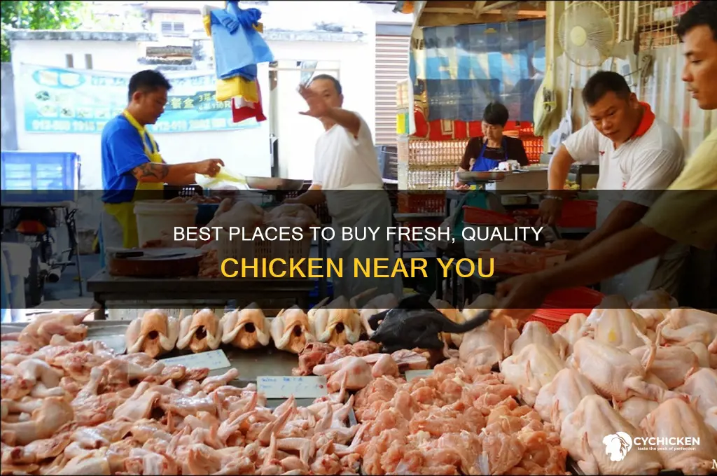 where can i buy chicken from