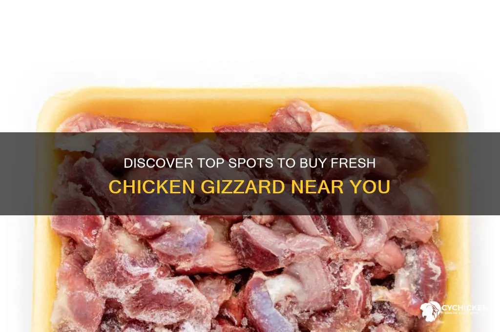 where can i buy chicken gizzard