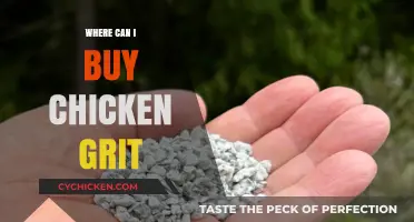 Where to Buy Chicken Grit: Top Sources for Healthy Poultry