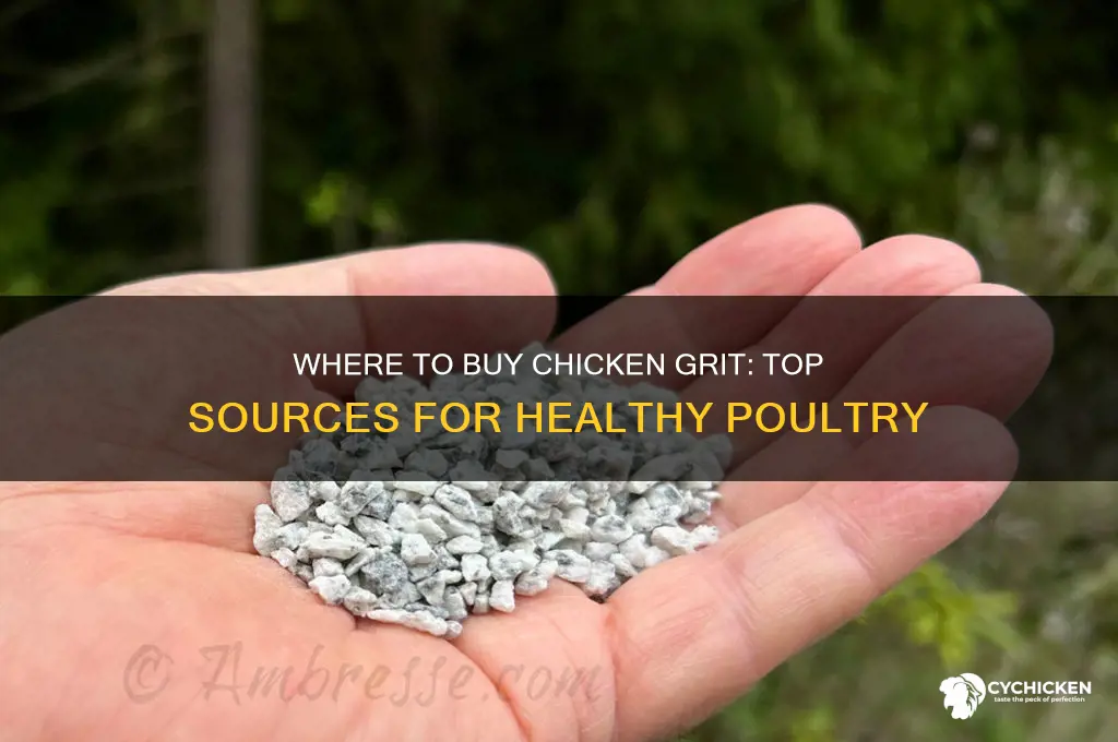 where can i buy chicken grit