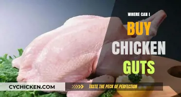 Where to Buy Chicken Guts: A Comprehensive Guide for Buyers