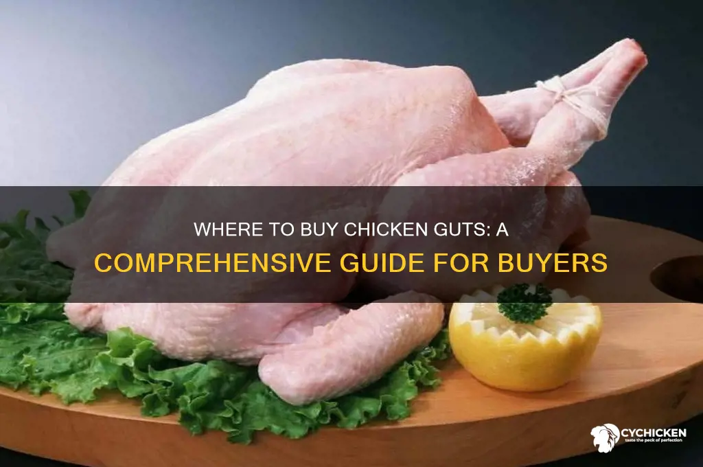 where can i buy chicken guts