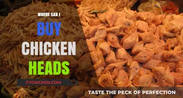 Where to Buy Chicken Heads: A Comprehensive Guide for Buyers