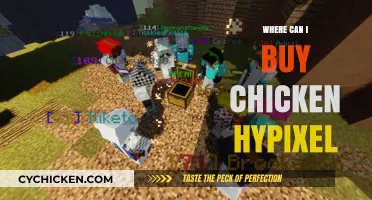 Where to Buy Chicken on Hypixel: A Comprehensive Guide