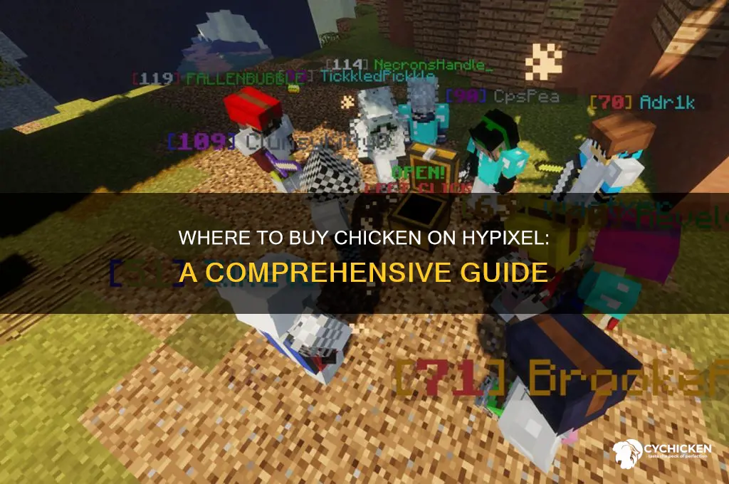 where can i buy chicken hypixel