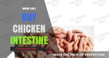 Where to Buy Chicken Intestine: A Guide to Local and Online Sources