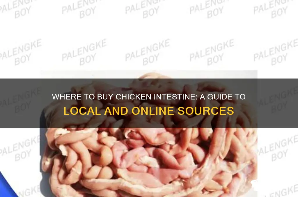 where can i buy chicken intestine