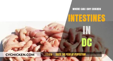 Where to Buy Chicken Intestines in Washington, DC: A Guide
