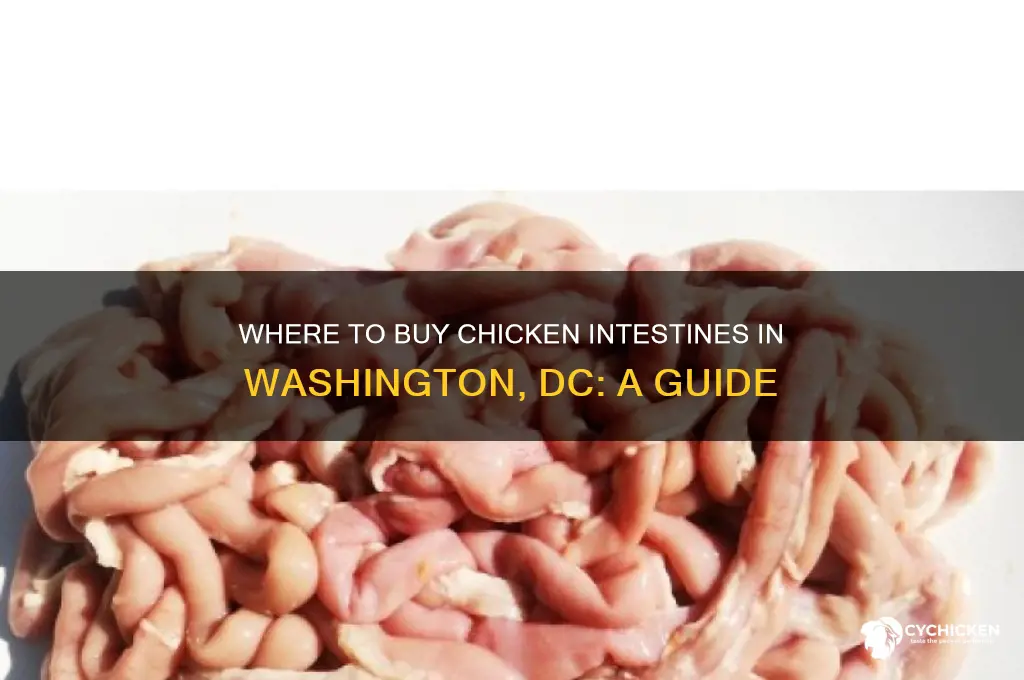 where can i buy chicken intestines in dc