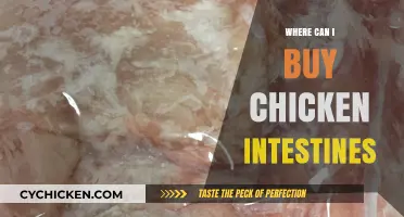 Where to Buy Chicken Intestines: A Comprehensive Guide for Shoppers