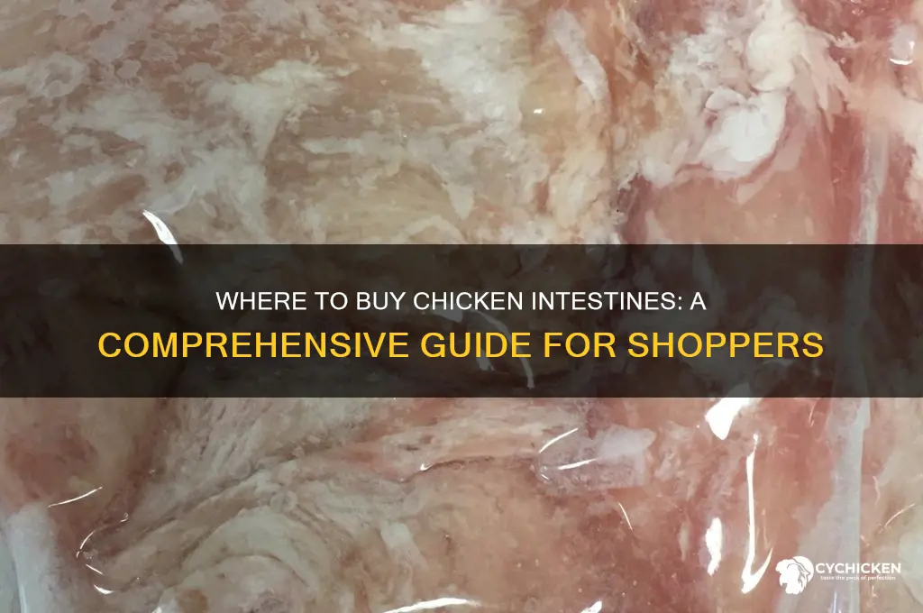where can i buy chicken intestines