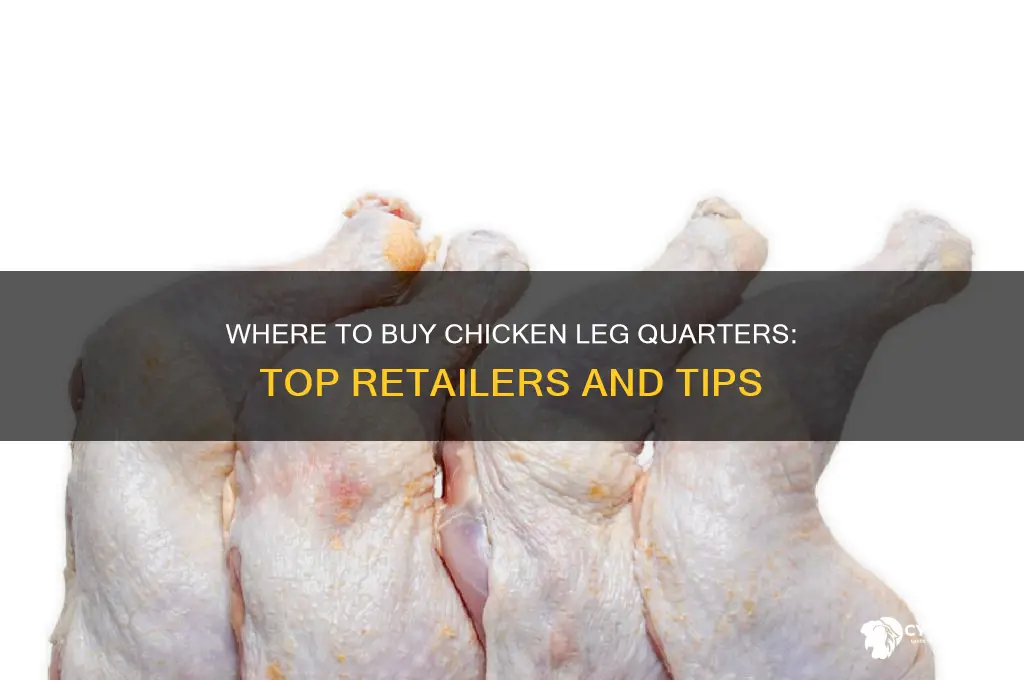 where can i buy chicken leg quarters