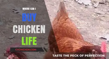 Where to Buy Chicken Life: A Comprehensive Guide for Enthusiasts