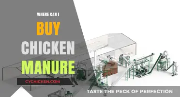 Where to Buy Chicken Manure: Top Sources for Gardeners
