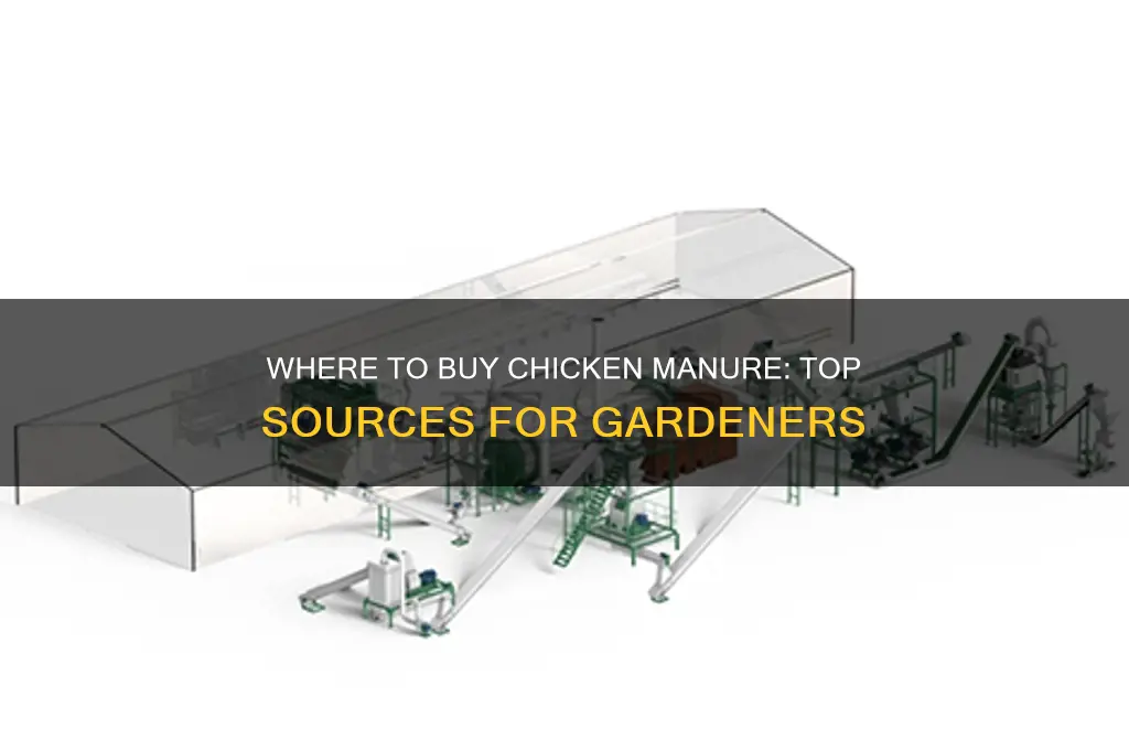 where can i buy chicken manure