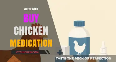 Where to Buy Chicken Medication: A Comprehensive Guide for Poultry Owners