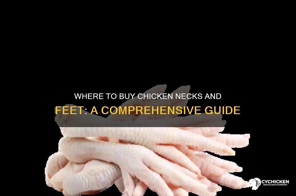 where can i buy chicken necks or feet