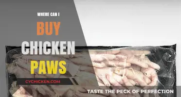 Where to Buy Chicken Paws: Top Retailers and Online Sources