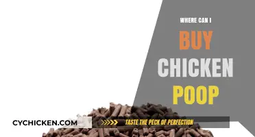 Where to Buy Chicken Poop: Top Sources for Organic Fertilizer